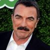 The American Tom Selleck Diamond Painting