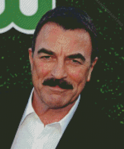 The American Tom Selleck Diamond Painting