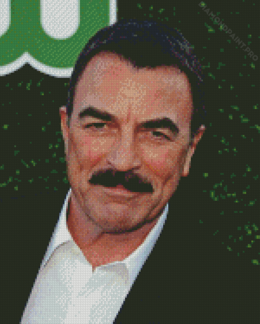 The American Tom Selleck Diamond Painting