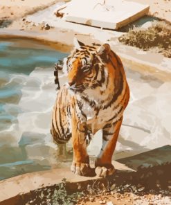 Tiger In The Pool Diamond Painting