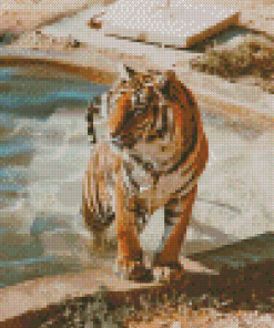 Tiger In The Pool Diamond Painting