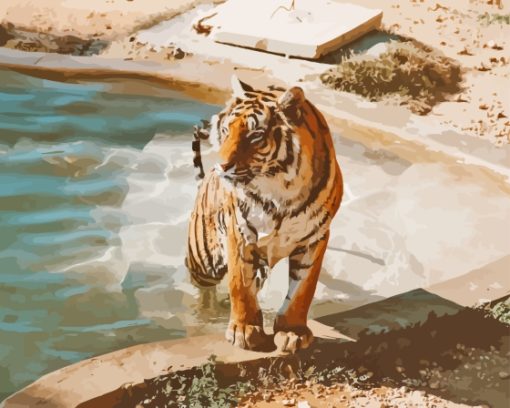 Tiger In The Pool Diamond Painting