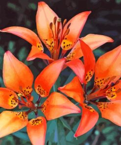 Western Red Lilies Flowers Diamond Painting