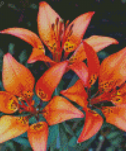 Western Red Lilies Flowers Diamond Painting