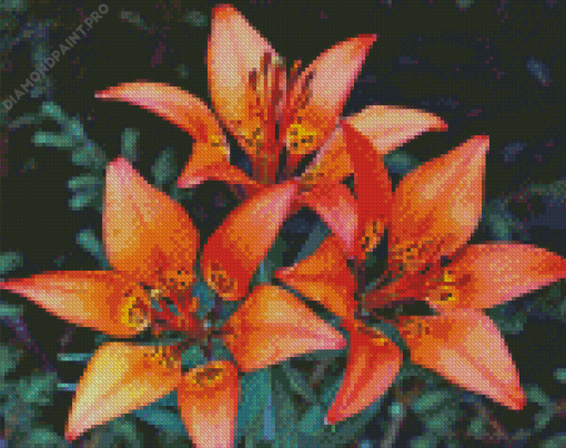 Western Red Lilies Flowers Diamond Painting