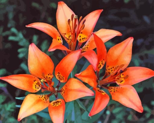 Western Red Lilies Flowers Diamond Painting