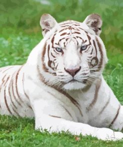 White Bengal Tiger Diamond Painting