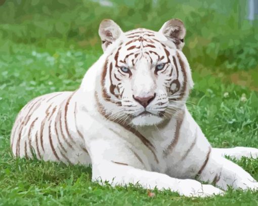 White Bengal Tiger Diamond Painting