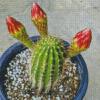 Echinopsis Plant In Pot Diamond Painting