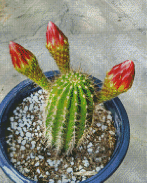 Echinopsis Plant In Pot Diamond Painting