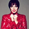 Liza Minnelli Diamond Painting