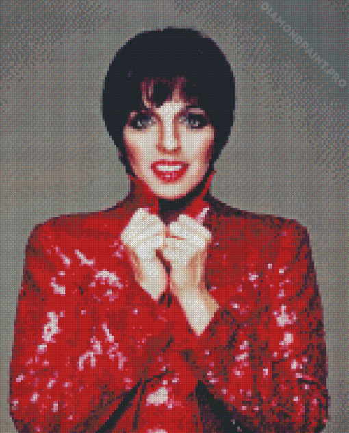 Liza Minnelli Diamond Painting