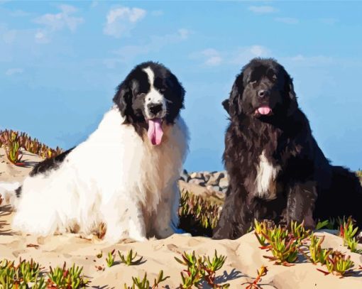 Newfoundland Dogs Puppies Diamond Painting