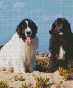 Newfoundland Dogs Puppies Diamond Painting