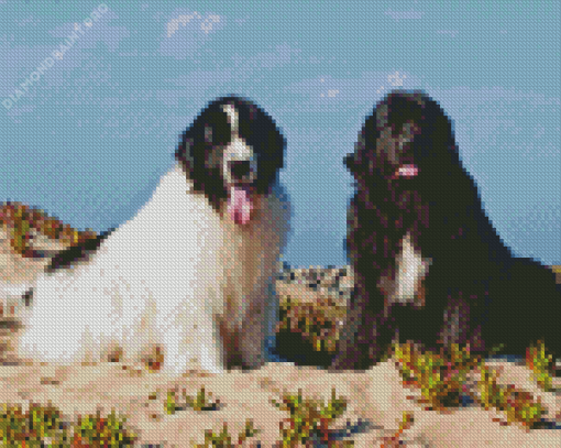 Newfoundland Dogs Puppies Diamond Painting