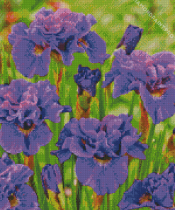 Purple Siberian Iris Diamond Painting