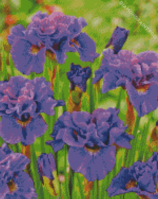 Purple Siberian Iris Diamond Painting