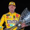 The American Racing Driver Kyle Busch Diamond Painting