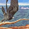 Wedge Tailed Eagle Diamond Painting