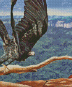 Wedge Tailed Eagle Diamond Painting