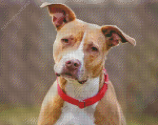 White Brown Pitbull Diamond Painting