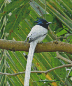 White Ribbon Tailed Bird Diamond Painting