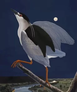 Night Heron With Moon Diamond Painting