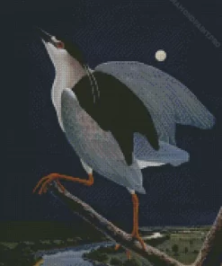 Night Heron With Moon Diamond Painting