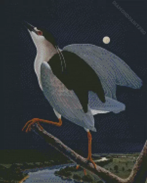 Night Heron With Moon Diamond Painting