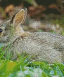 Side View European Rabbit Diamond Painting