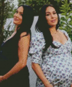 The Bella Twins Pregnant Diamond Painting