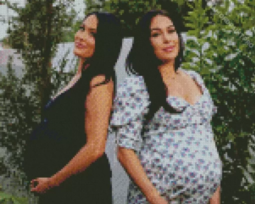 The Bella Twins Pregnant Diamond Painting