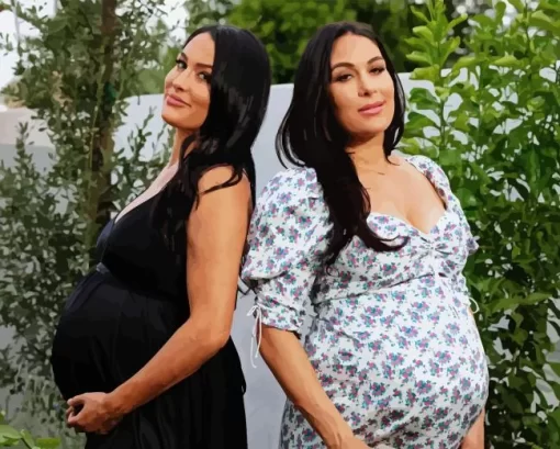 The Bella Twins Pregnant Diamond Painting