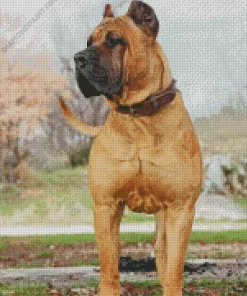 Beige Presa Canario Dog Diamond Painting