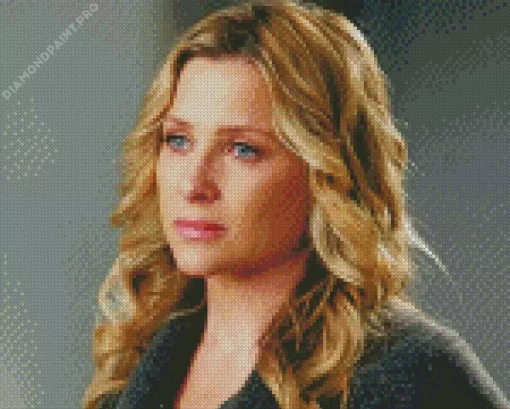 Arizona Robbins Diamond Painting