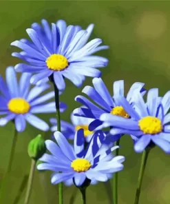 Blue Daisy Flower Diamond Painting