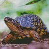 Box Turtle In Nature Diamond Painting