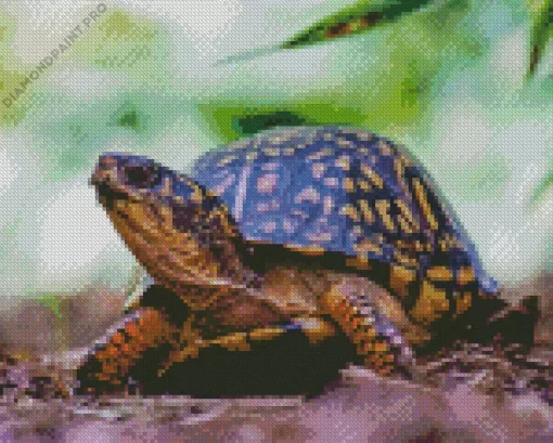 Box Turtle In Nature Diamond Painting