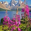 Lyngen Fireweed Diamond Painting