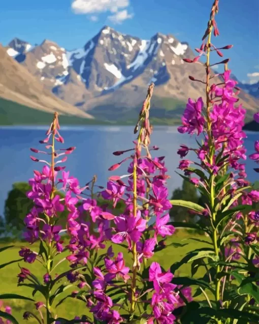 Lyngen Fireweed Diamond Painting