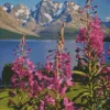 Lyngen Fireweed Diamond Painting