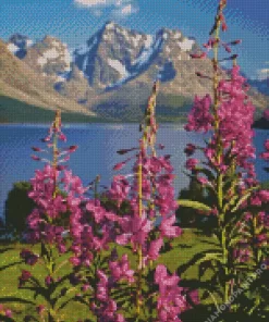 Lyngen Fireweed Diamond Painting