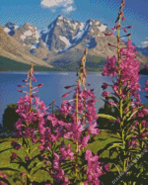 Lyngen Fireweed Diamond Painting