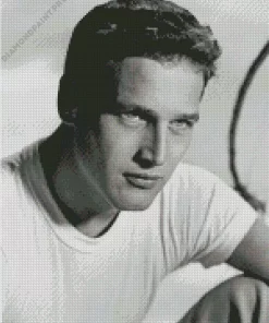 Paul Newman Diamond Painting