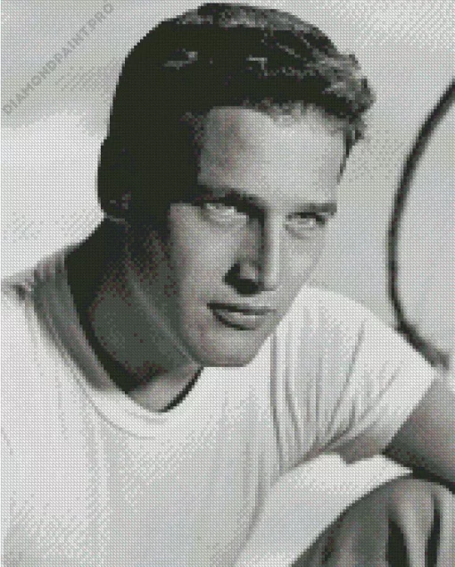 Paul Newman Diamond Painting