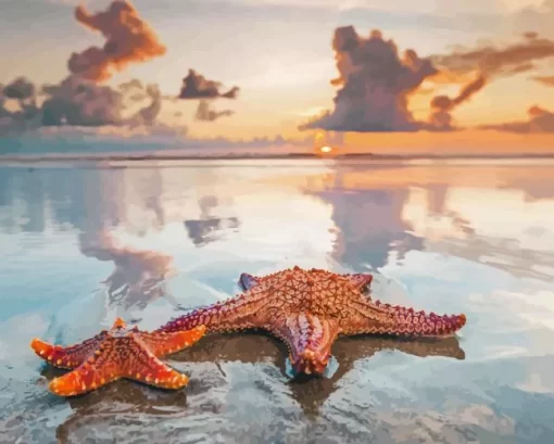 Starfishes On Beach Diamond Painting