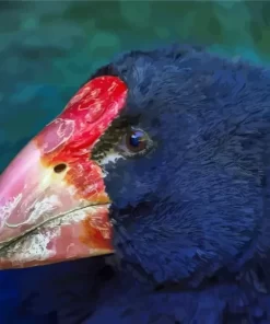 Takahe Head Bird Diamond Painting