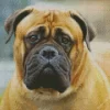 Bullmastiff Diamond Painting