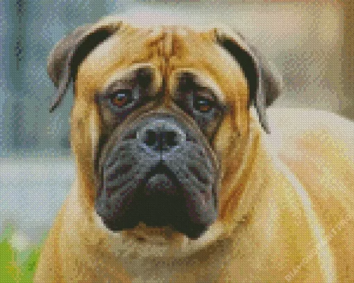 Bullmastiff Diamond Painting