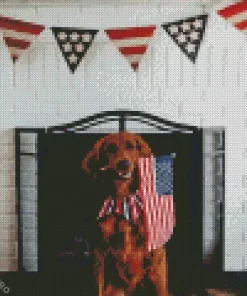 Cocker Spaniel Dog And Flag Diamond Painting